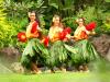 Polynesian Cultural Center Luau
